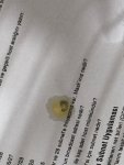 1780508926066.jpeg