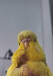 20260604_164803.jpg
