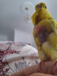 20260603_170011.jpg
