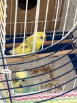 IMG_7207.jpeg