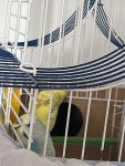 IMG_7173.jpeg