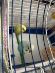 IMG_7171.jpeg