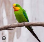 IMG_4840.jpeg