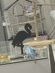 IMG_9200.jpeg