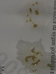 20260606_120333.jpg