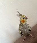 IMG_1120.jpeg