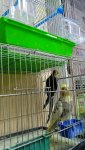 IMG-20260607-WA0026.jpg
