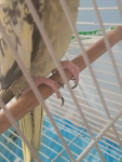 1780830923203.png 1780830923203.png