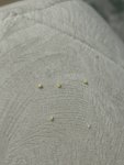IMG_6511.jpeg