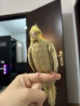 IMG_6513.jpeg