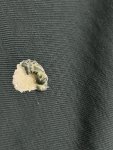 IMG_6520.jpeg