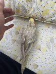 IMG_2822.jpeg