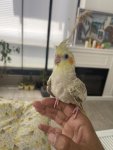IMG_2825.jpeg