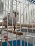 IMG_6459.jpeg
