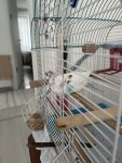 IMG_6346.jpeg