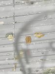 c196a36b-757a-4159-a902-ab916f63117e.jpg