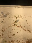IMG_4707.jpeg