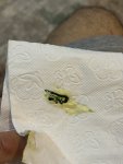 IMG_6552.jpeg