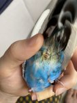 IMG_3869.jpeg