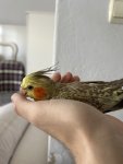 IMG_6582.jpeg