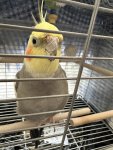 IMG_3424.jpeg