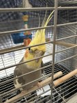 IMG_3422.jpeg
