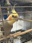 IMG_3423.jpeg