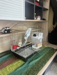 IMG_7502.jpeg