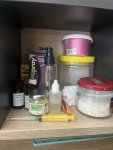 IMG_7503.jpeg
