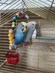 IMG_6224.jpeg