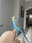 IMG_5524.jpeg