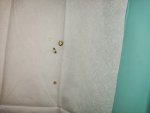 IMG_20260611_171006.jpg