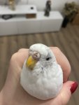 IMG_7609.jpeg