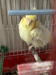 IMG_0714.jpeg