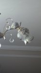 IMG-20260613-WA0045.jpeg