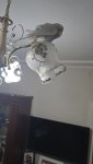 IMG-20260613-WA0014.jpeg