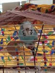IMG20260606191248.jpg