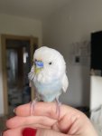 IMG_7667.jpeg