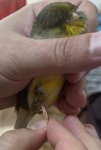 IMG_9568.jpeg