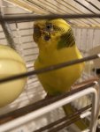 IMG_0208.jpeg