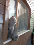 IMG_20260615_180440.jpg