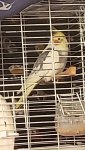 VideoCapture_20260618-121705.jpg