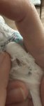 IMG_4100.jpeg