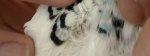 IMG_4093.jpeg