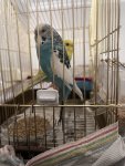 IMG_0676.jpeg