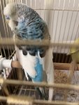 IMG_0678.jpeg