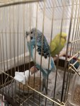 IMG_0677.jpeg