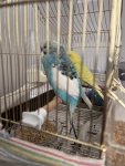 IMG_0683.jpeg