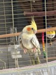IMG_5269.jpeg