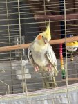IMG_5268.jpeg